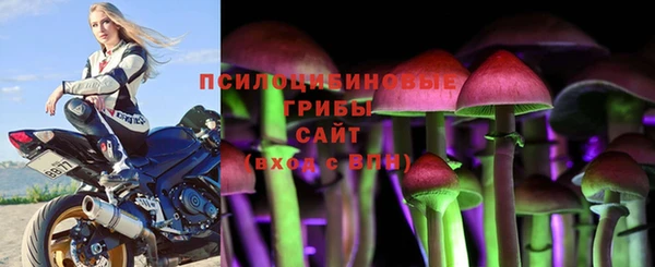ECSTASY Заволжск
