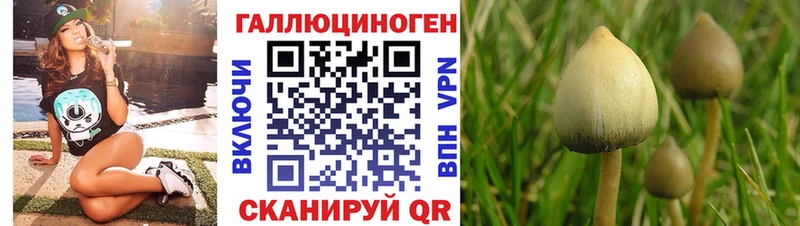 Псилоцибиновые грибы мицелий  Купить закладки  Бородино 